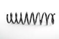 Alfa Romeo  Springs. Part Number 50515229