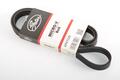 Alfa Romeo  Auxiliary Belt. Part Number 55202621