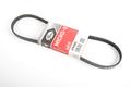 Alfa Romeo  Auxiliary Belt. Part Number 60543218