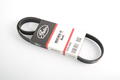 Alfa Romeo GTV Auxiliary Belt. Part Number 60596949