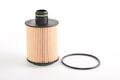 Alfa Romeo  Oil Filter. Part Number 71770689